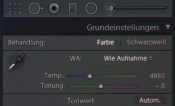 Farbsäume bei dunklem Hintergrund