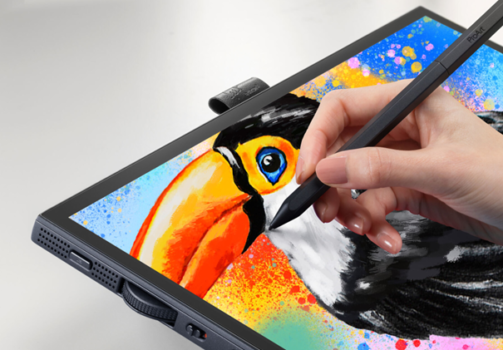 ASUS ProArt Display PA169CDV