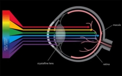 Eyesafe: Ihre Augen im Fokus