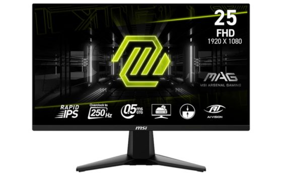 MSI MAG 255XFV (Bild: MSI)