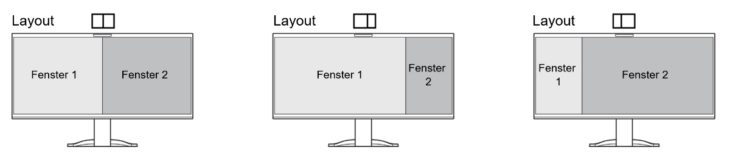 PbP: Verfügbare Layouts (Screenshot: EIZO-Handbuch)