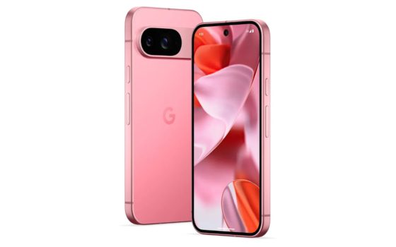 Google Pixel 9 (Bild: Google)