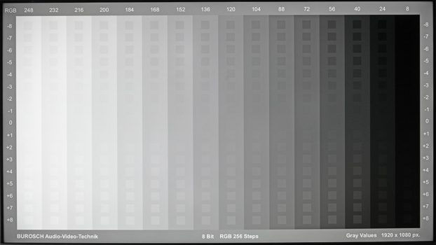 Graustufendarstellung des Philips 55PUS8909