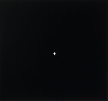 Eingeblendetes weißes Fadenkreuz