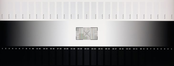 Graustufendarstellung vom IPS-Panel des Sharp EA272U