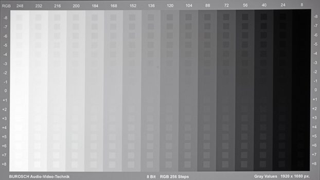Graustufendarstellung des BenQ GP520