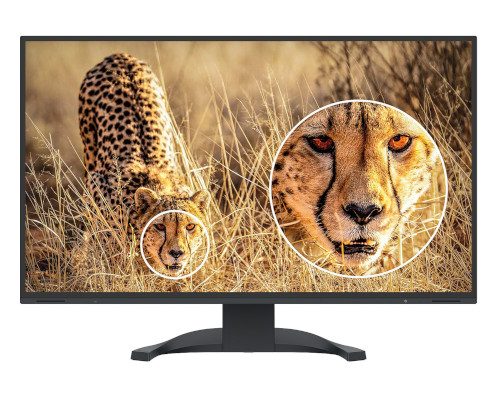 EIZO FlexScan EV3240X (Bild: EIZO)