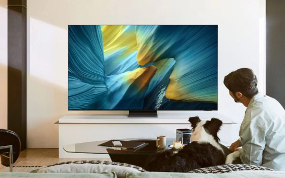 Samsung S95F (Bild: Samsung)