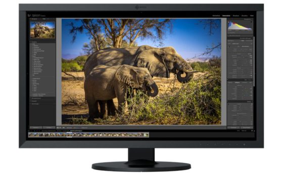 EIZO ColorEdge (4K) (Bild: EIZO)