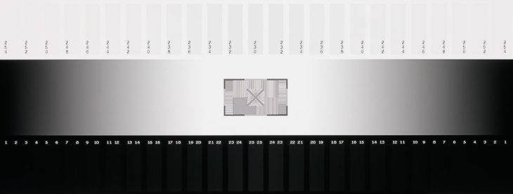 Graustufendarstellungen vom IPS-Panel des EIZO CG3100X