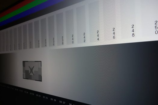 Graustufendarstellung aus seitlicher Betrachtung