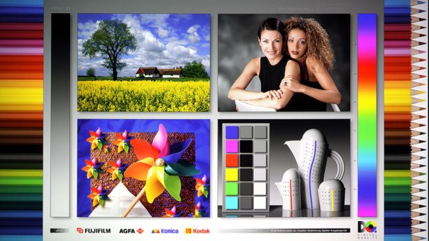 ViewSonic X1-4KE Pro: Screenshot des Testbildes der Farbraumabdeckung