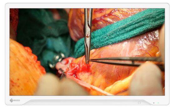 EIZO CuratOR EX3245H (Bild: EIZO)